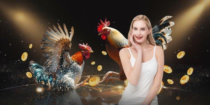 Các tính năng nổi bật của Đá gà trực tuyến 11bet